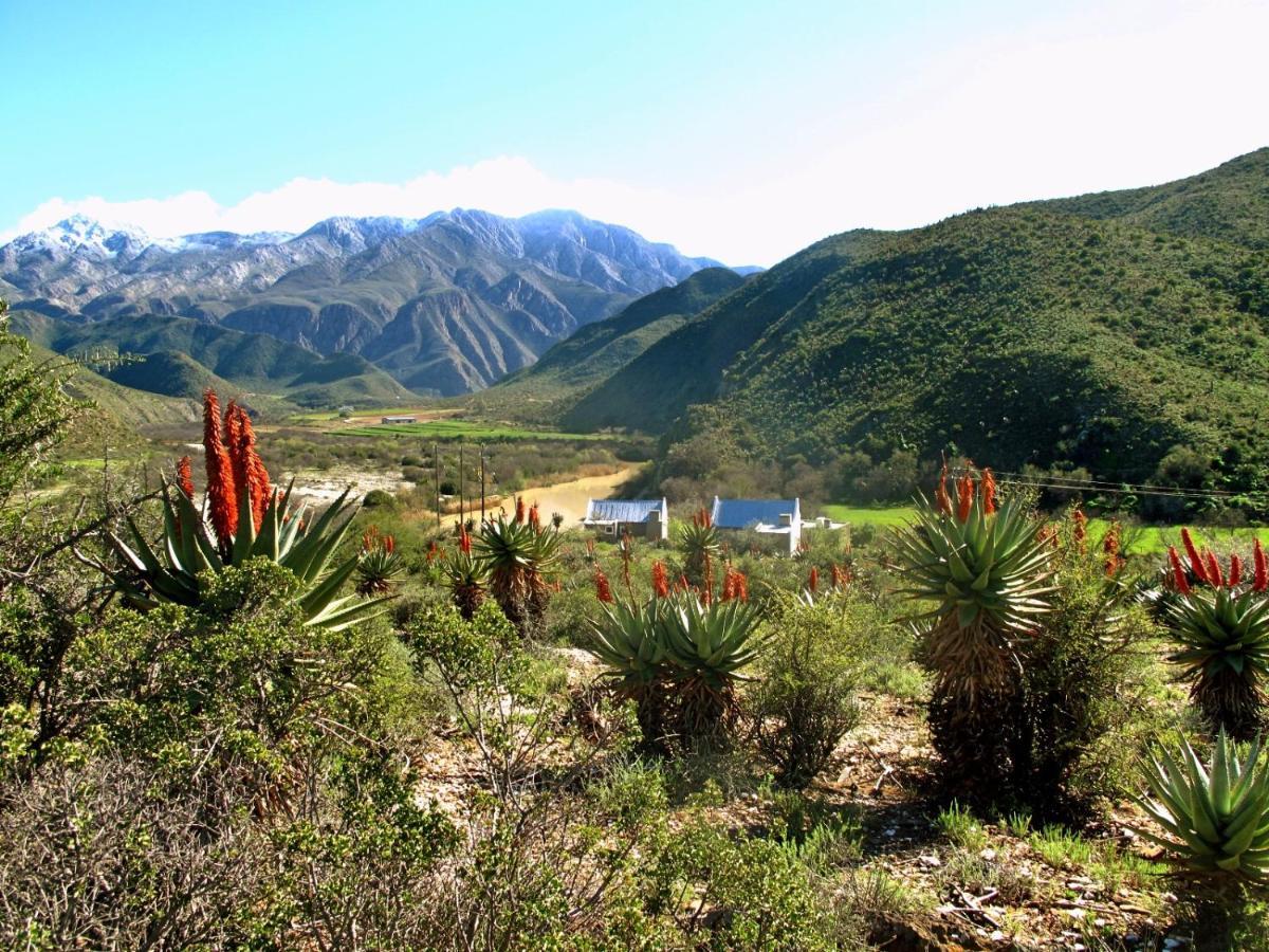 River View Cottages Calitzdorp Exterior foto